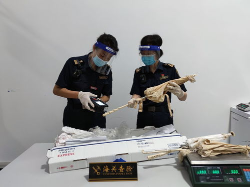 江門廣播電視臺 打造精品節目，傳播僑鄉之聲